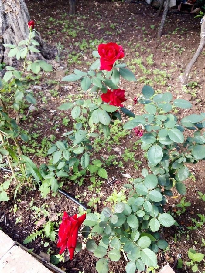 Вілла Il Giardino Di Hyccara Каріні Екстер'єр фото